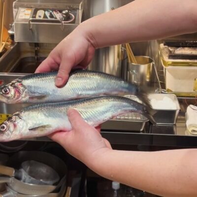 . 北海道産 ニシン りっぱなニシン 脂のりのりです🤤 今回は2匹…