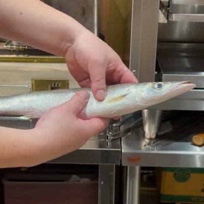 . 徳島県産 カマス めちゃくちゃ立派なカマスです！ 脂もノリノ…