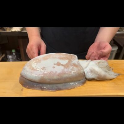 . 徳島産　モンゴウイカ🦑 身が生きてるのでもやもやしてて イル…