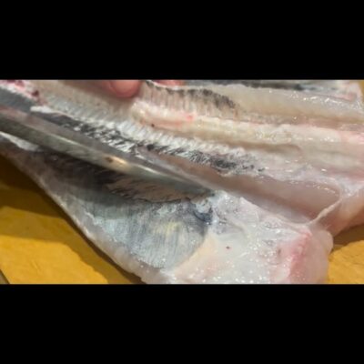 . 身もしっかり活きてます! 弾力がありぷりぷりで美味しいです🤤